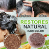 Natural Organic Hair Darkening Shampoo  Conditioner and Repair