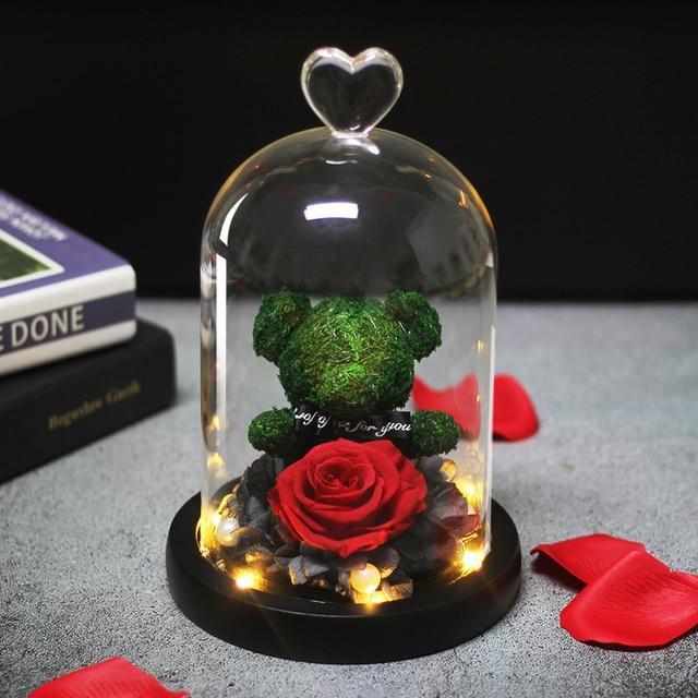 DearBear