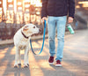 Portable Pet Dog Water Bottle Drinking Bowls For Small Large Dogs Feeding Water Dispenser Cat Activated Carbon Filter Bowl